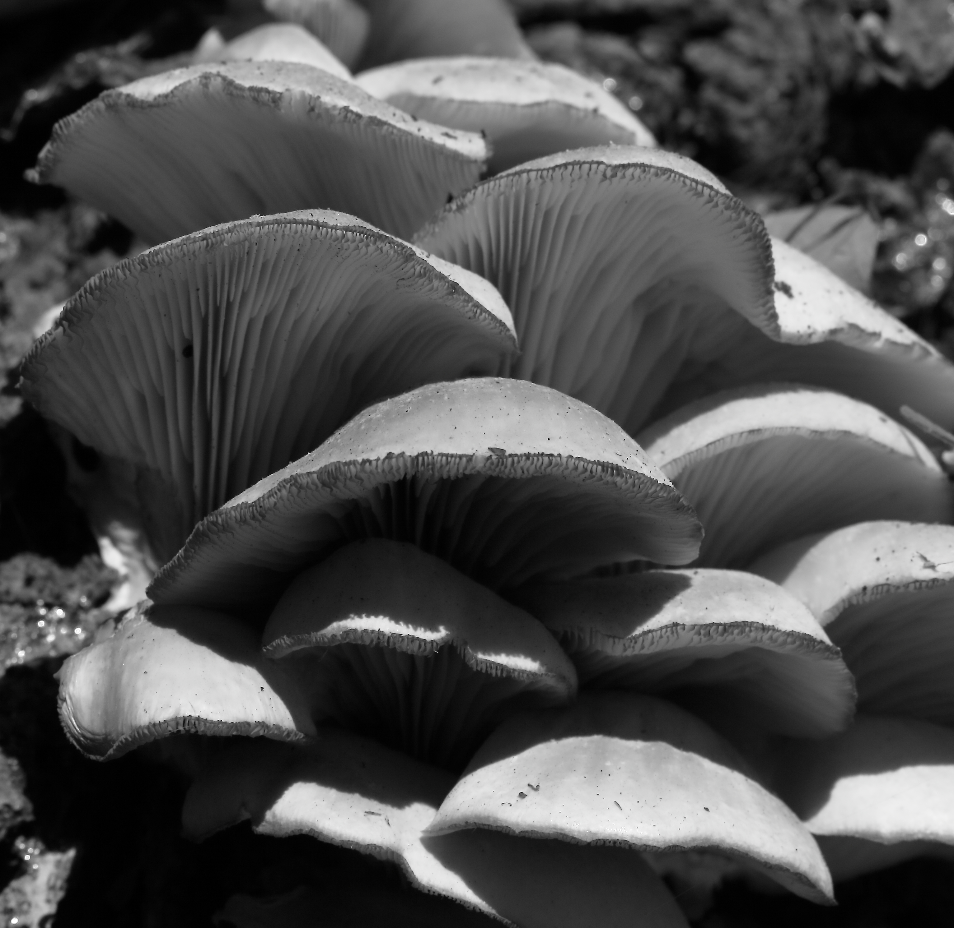 2014 09 12 HTP 86315ebw